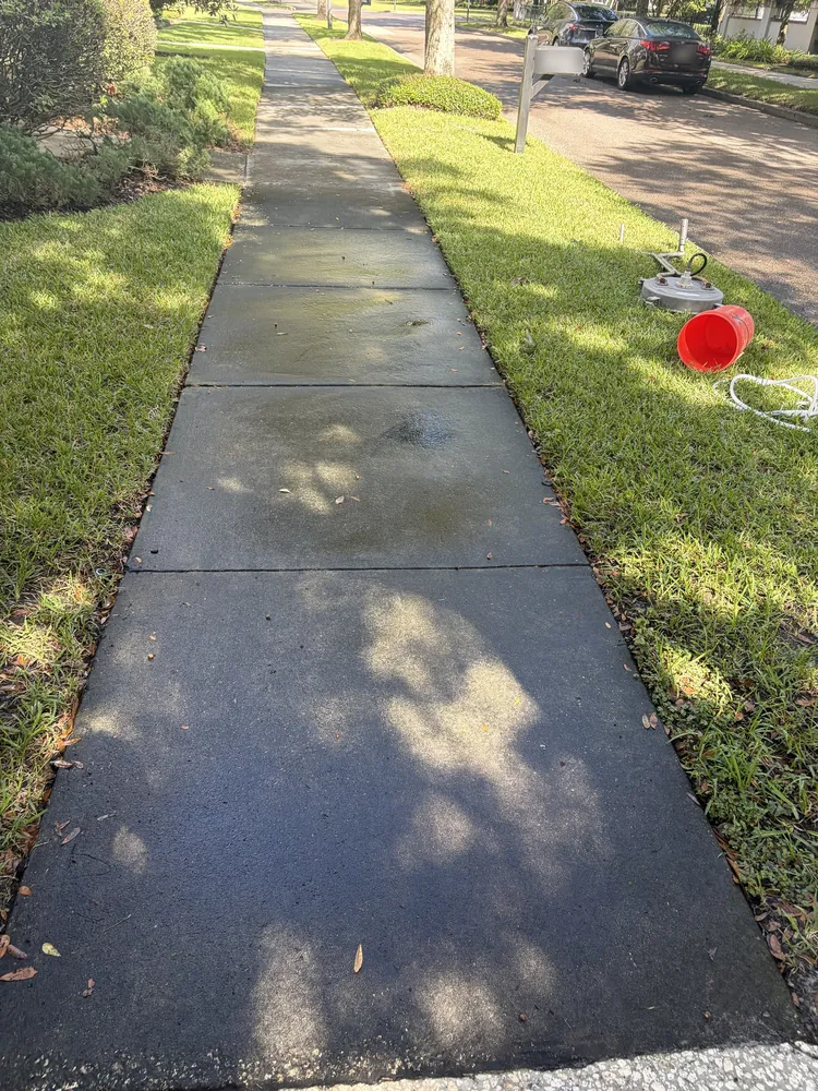 After: freshly pressure washed sidewalk in Baldwin Park, Orlando, still wet