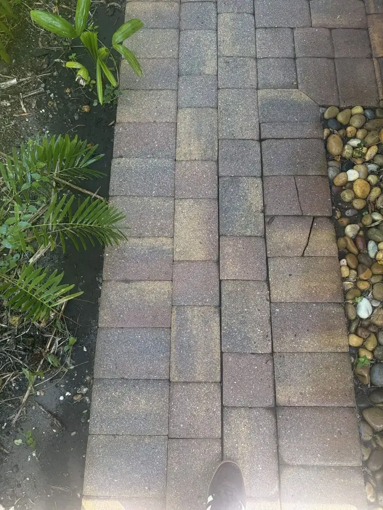 After: brick paver walkway: cleaned and sealed by Waddle Works