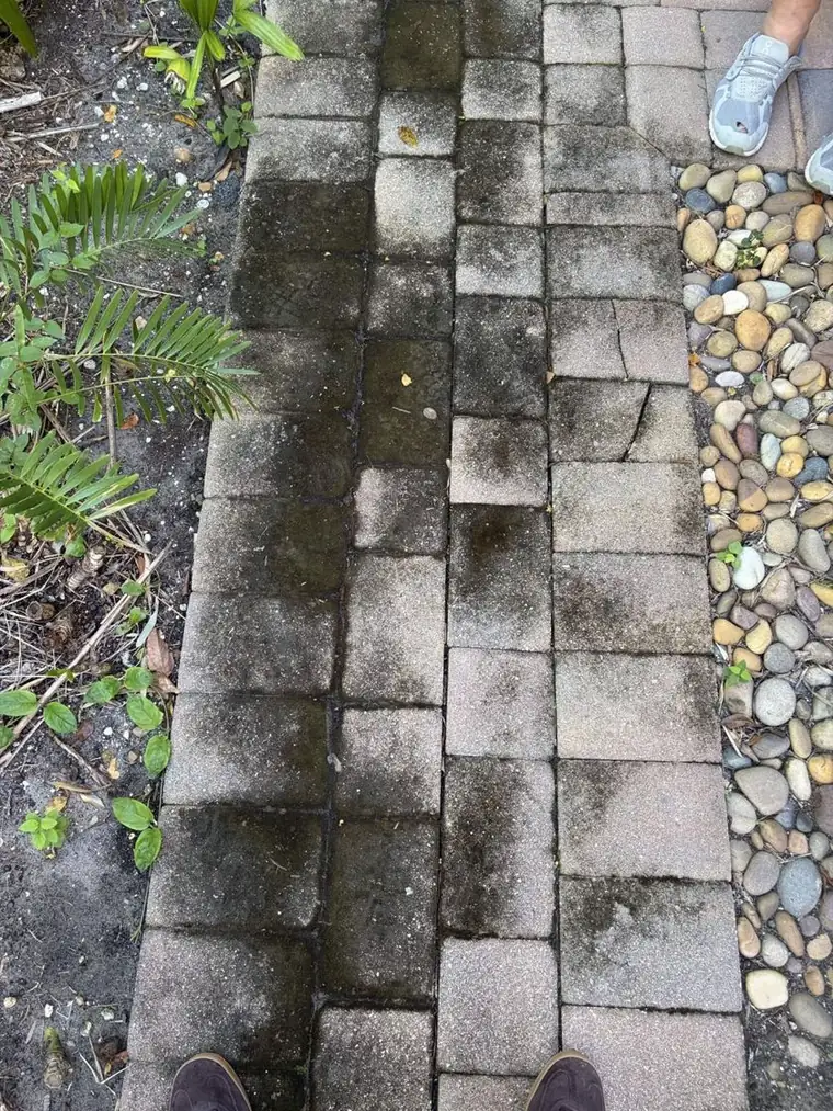Before: brick paver walkway: cleaned and sealed by Waddle Works