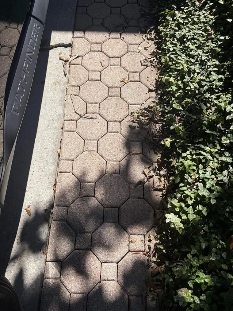 Before: octagon paver walkway pressure washing by Waddle Works