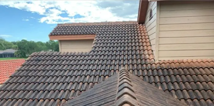 Before: tile roof soft wash by Waddle Works